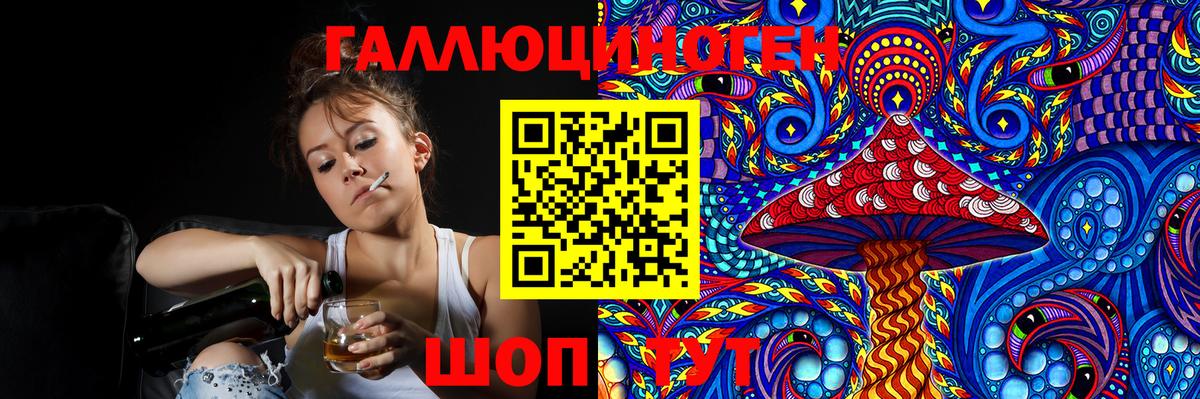 Псилоцибиновые грибы GOLDEN TEACHER Саки