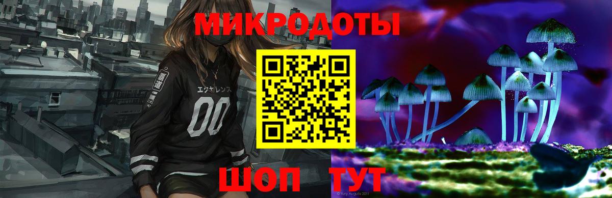 Саки  Галлюциногенные грибы Psilocybine cubensis  купить наркоту  Вход с VPN 